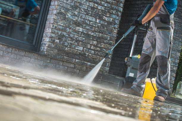Best Sidewalk and Walkway Cleaning  in Winona, MS