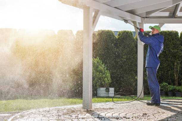 Boat and Dock Cleaning in Winona, MS